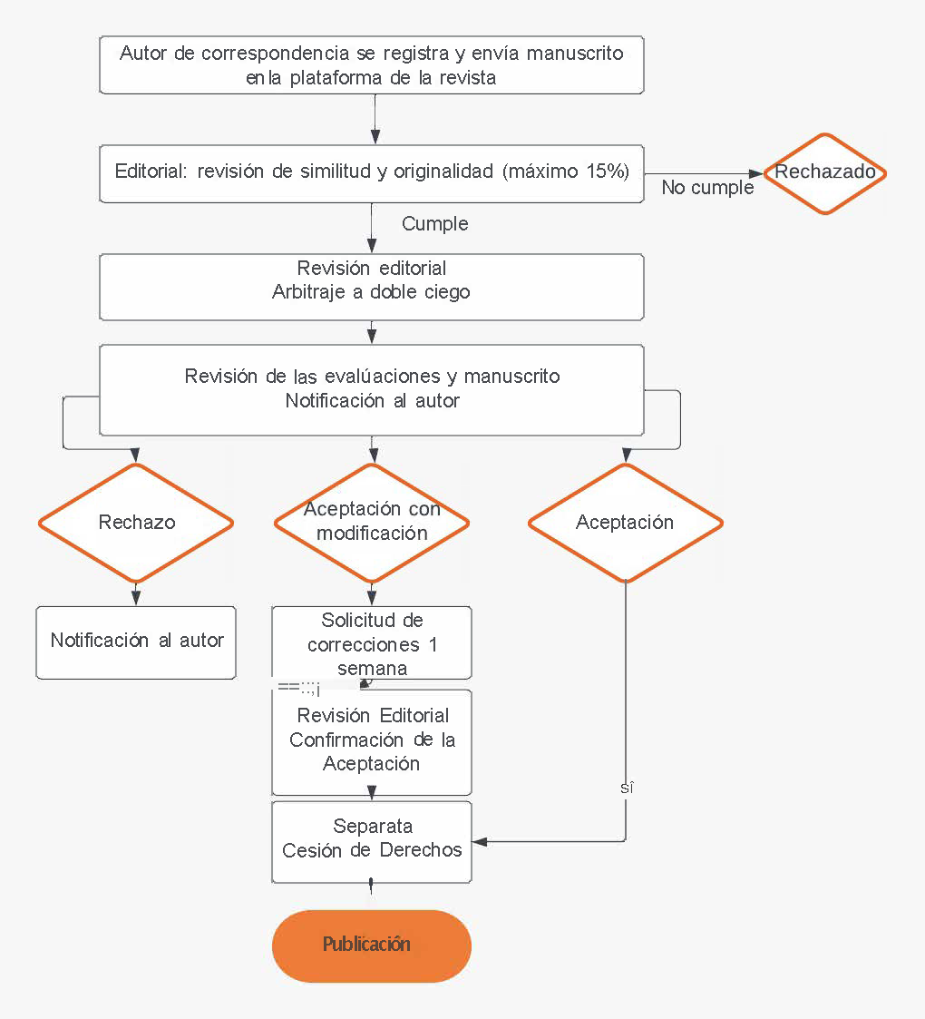 Diagrama del proceso editorial